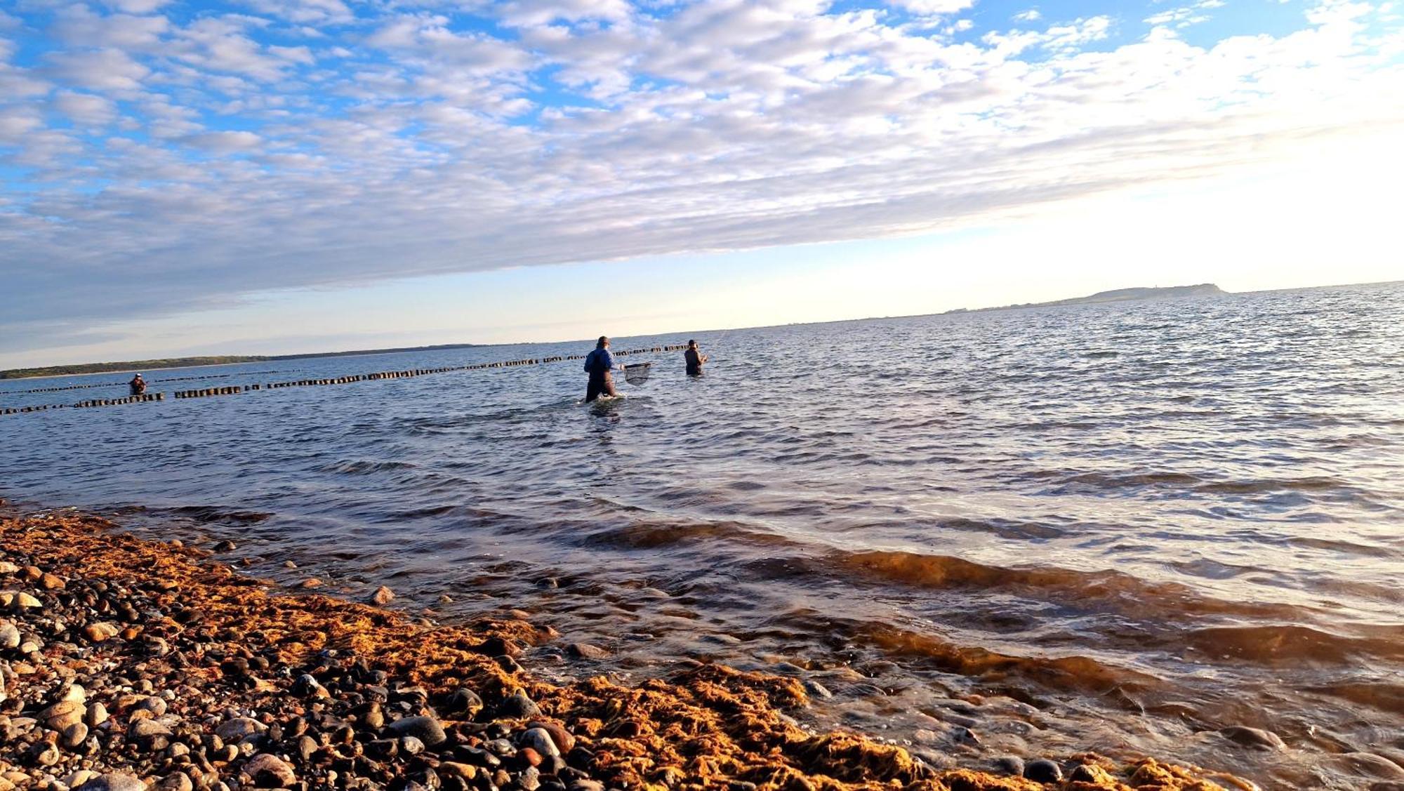 App 7O Kleinertag Am Meer Дранске Екстериор снимка